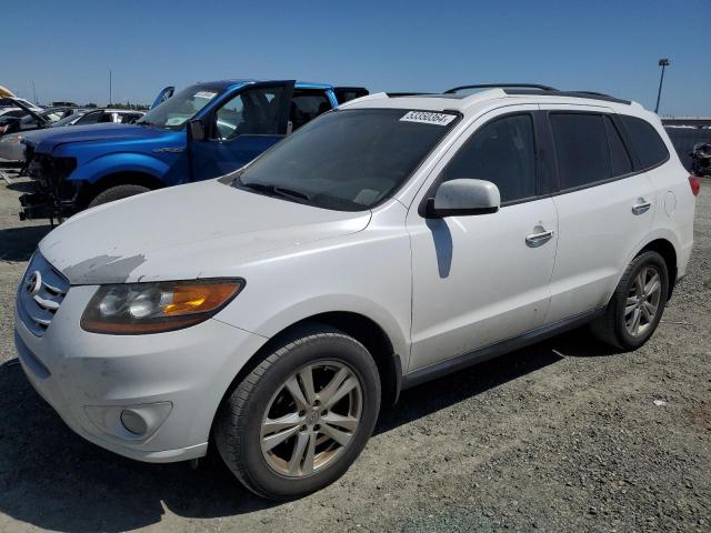 Lot #2519581806 2011 HYUNDAI SANTA FE L salvage car