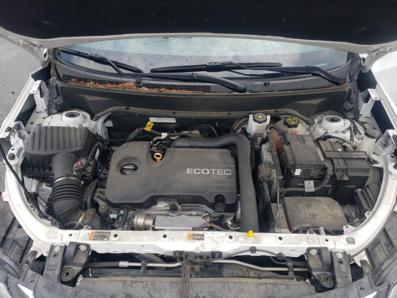 2GNAXNEV3K6116652 CHEVROLET EQUINOX 2019