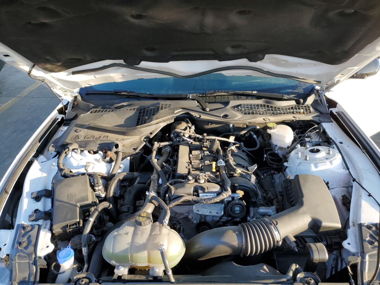 1FA6P8TH1M5117882 2021 Ford Mustang