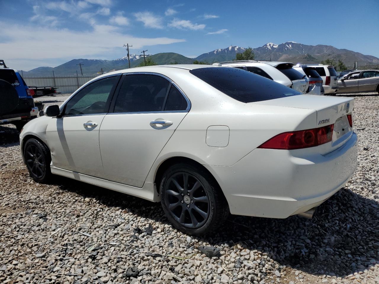 JH4CL96866C028865 2006 Acura Tsx