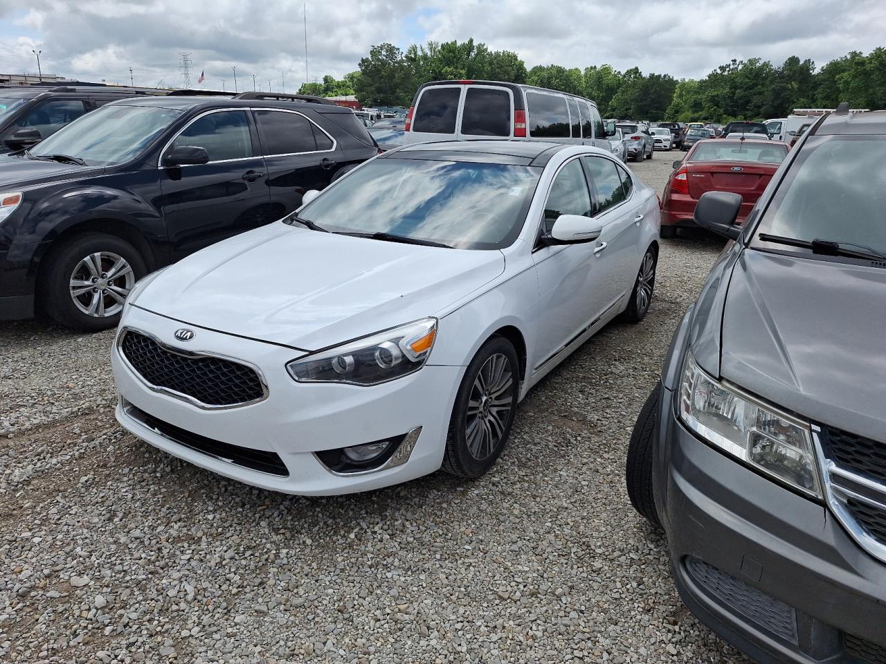 KNALN4D74E5135292 2014 Kia Cadenza Premium