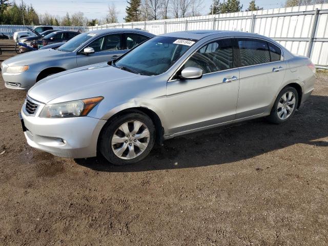 2008 Honda Accord Exl VIN: 1HGCP36848A801674 Lot: 53851844