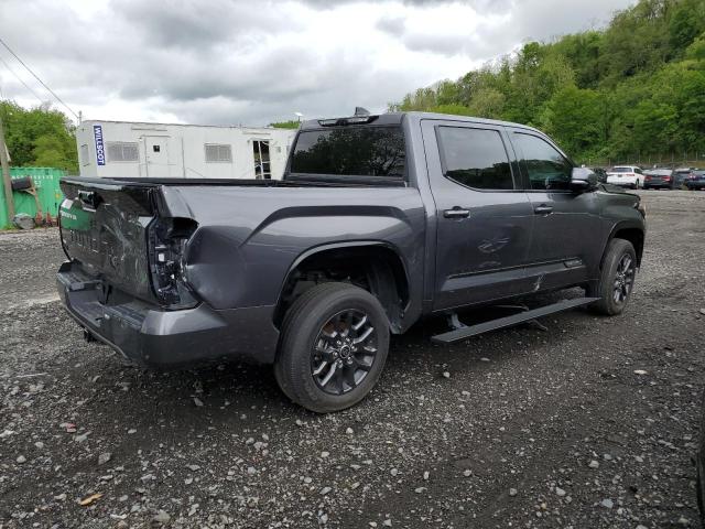 2023 Toyota Tundra Crewmax Platinum VIN: 5TFNA5DB0PX087332 Lot: 54546274