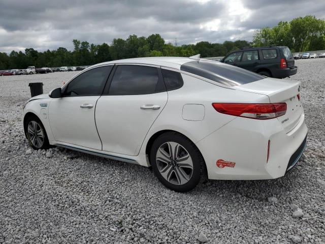 2019 KIA OPTIMA PLU KNAGV4LD3K5031980