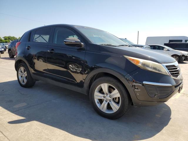 2013 Kia Sportage Base VIN: KNDPB3A28D7429765 Lot: 55618644