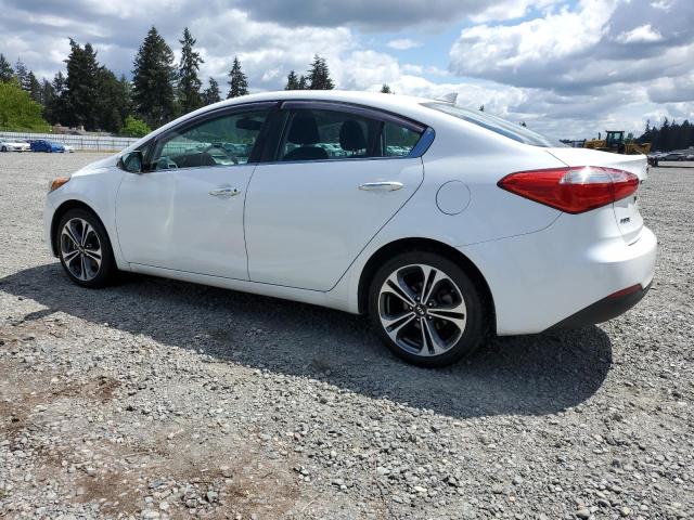 2014 Kia Forte Ex VIN: KNAFX4A85E5229833 Lot: 55749384