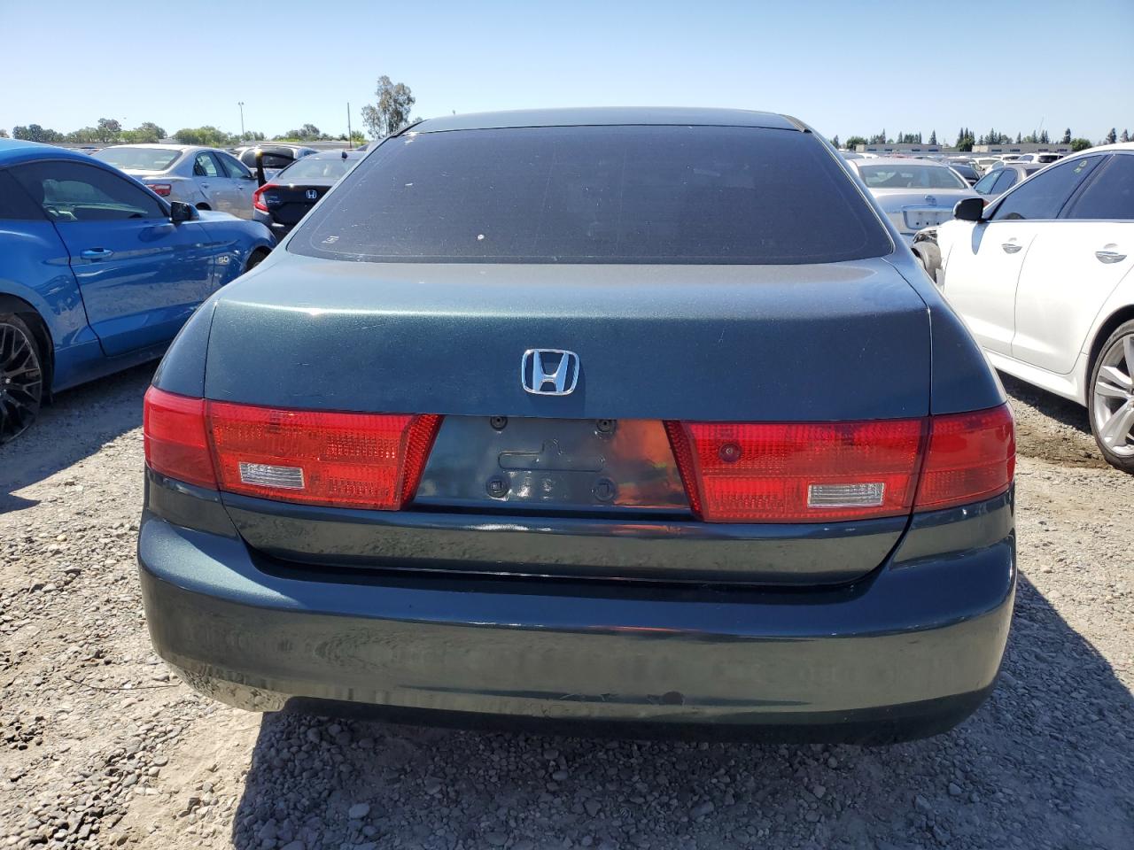 JHMCM56405C007849 2005 Honda Accord Lx