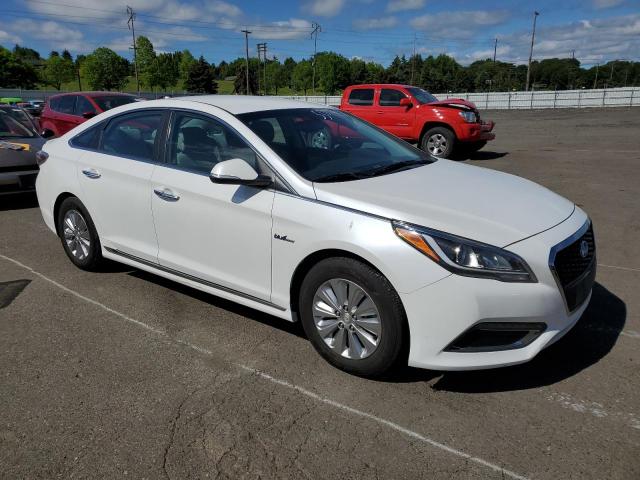 2017 Hyundai Sonata Hybrid VIN: KMHE24L19HA045905 Lot: 55079834