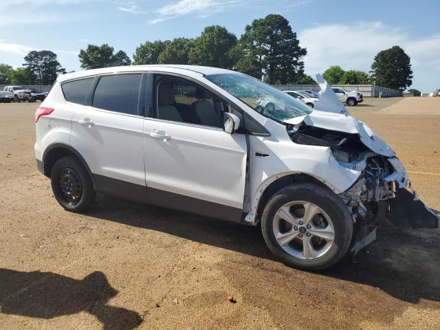 Vin: 1fmcu0gxxeub71824, lot: 54509014, ford escape se 20144