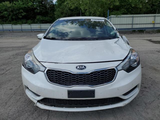 2016 Kia Forte Lx VIN: KNAFX4A64G5516517 Lot: 55949624