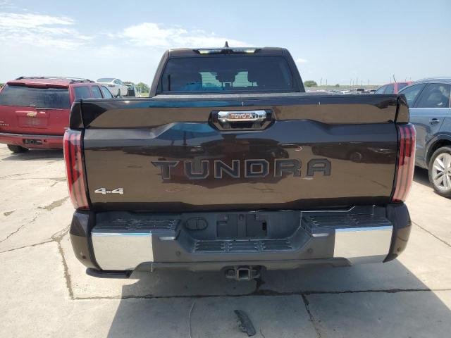 2022 Toyota Tundra Crewmax Platinum VIN: 5TFMA5EC1NX003115 Lot: 56463074