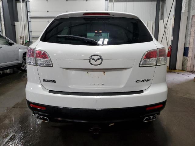 2007 Mazda Cx-9 VIN: JM3TB38Y270119253 Lot: 55563524