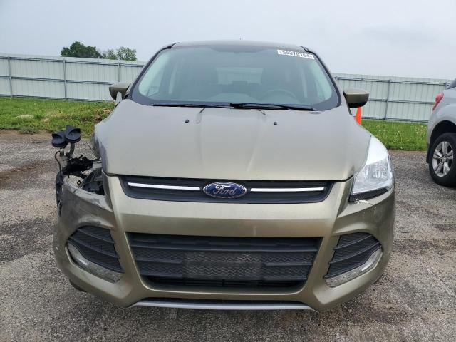 2013 Ford Escape Se VIN: 1FMCU0G99DUD34303 Lot: 55370164