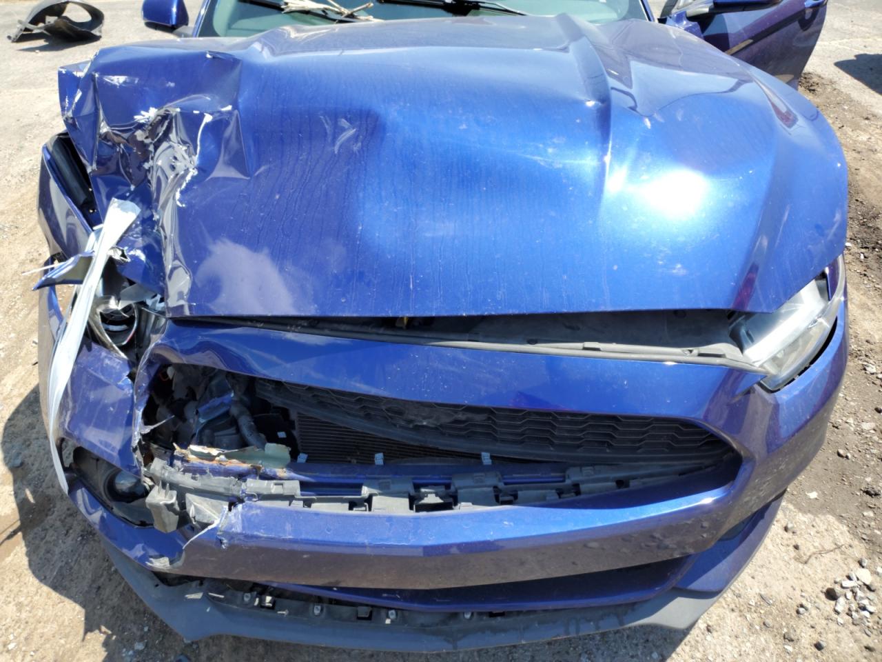 1FA6P8AM7G5321560 2016 Ford Mustang