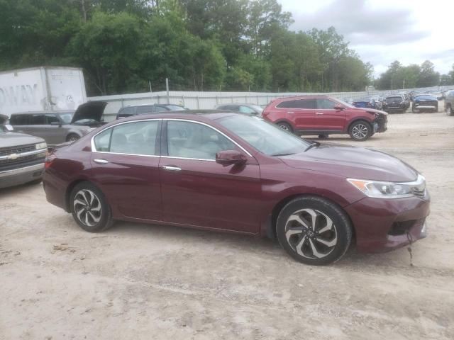 2016 Honda Accord Exl VIN: 1HGCR3F84GA033610 Lot: 55284694