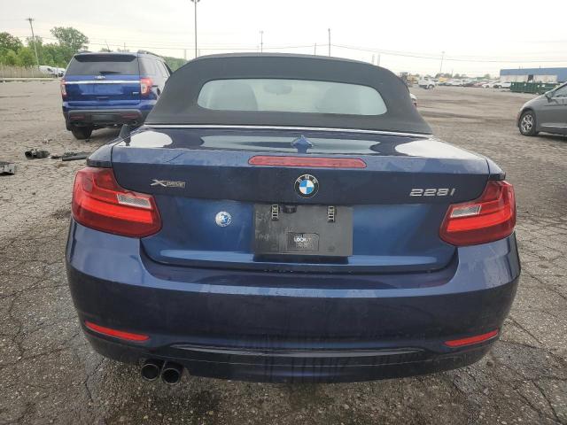 2016 BMW 228 Xi Sulev VIN: WBA1L9C50GV325393 Lot: 54731744