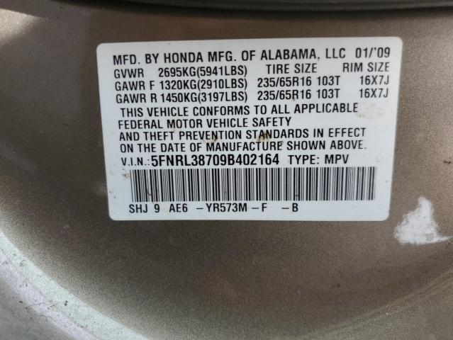 2009 Honda Odyssey Exl VIN: 5FNRL38709B402164 Lot: 54031924