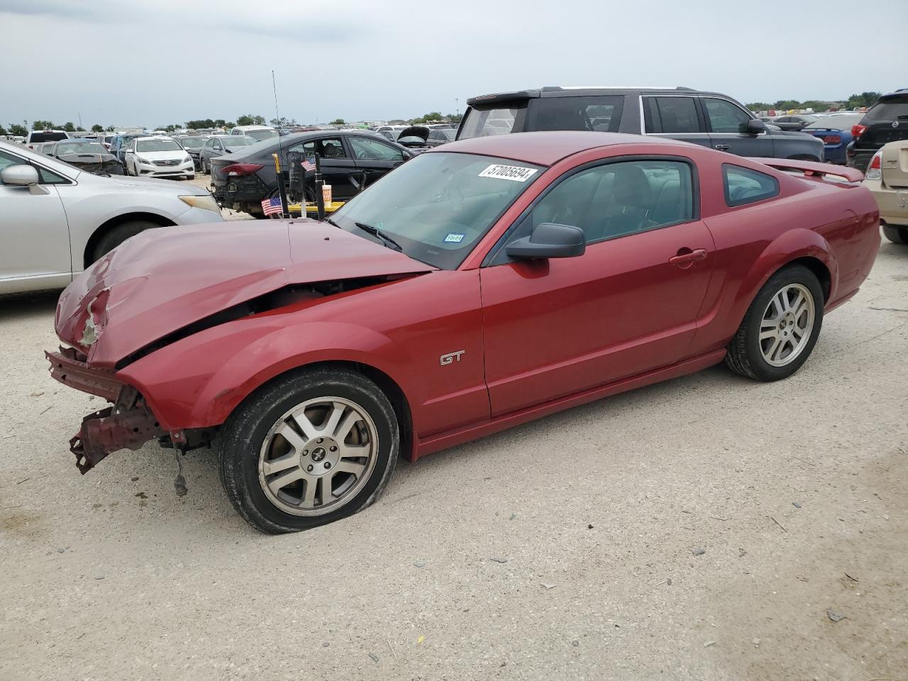 1ZVHT82H765104196 2006 Ford Mustang Gt