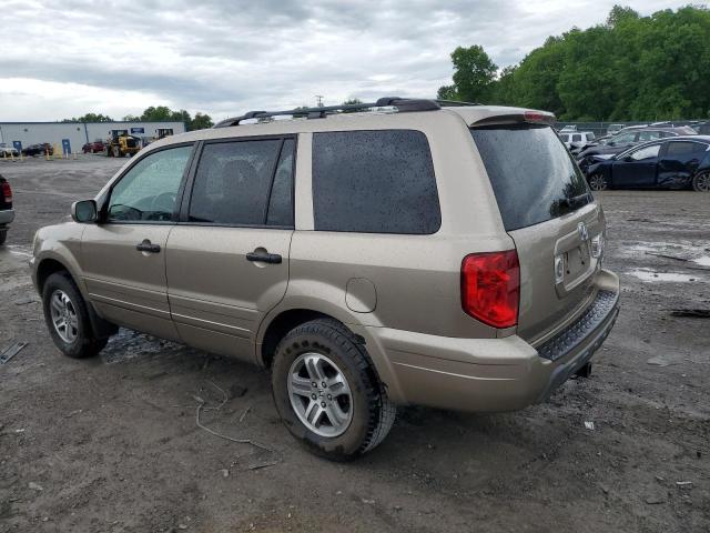 2005 Honda Pilot Exl VIN: 5FNYF18555B056404 Lot: 57234974