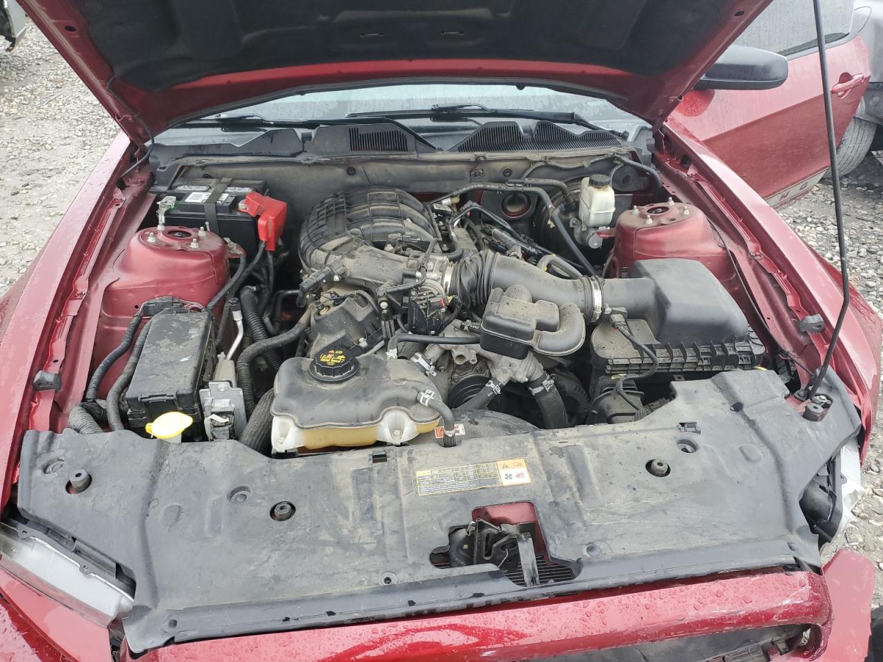 1ZVBP8AMXE5311334 2014 Ford Mustang