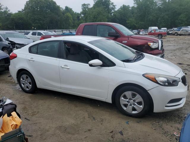 2014 Kia Forte Lx VIN: KNAFK4A63E5086569 Lot: 54032244