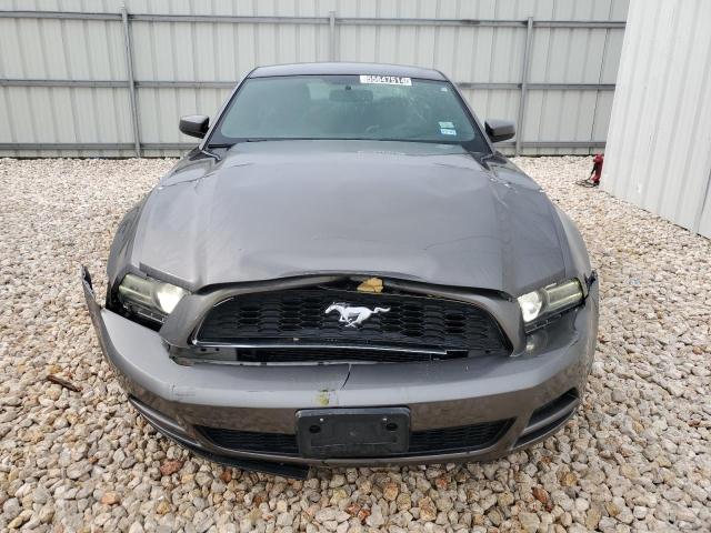 2014 Ford Mustang VIN: 1ZVBP8AM0E5313674 Lot: 55647514