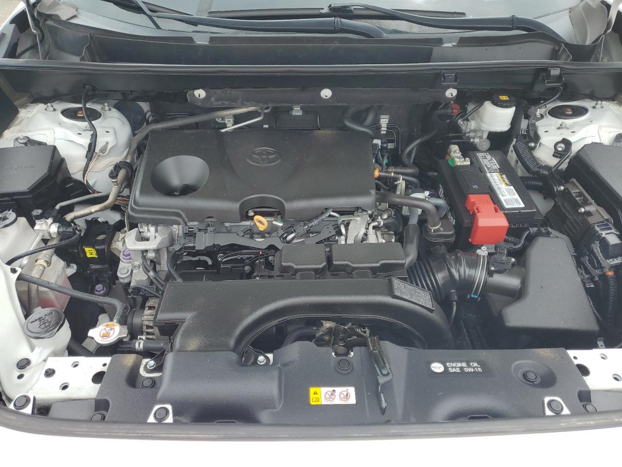 2T3H1RFV8KC027003 TOYOTA RAV4 2019