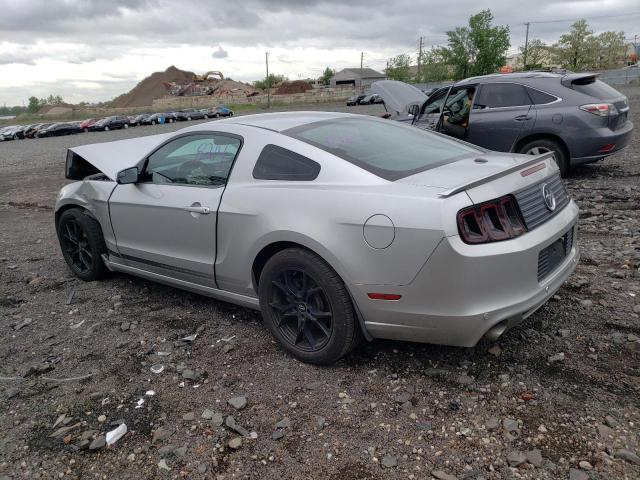 2013 Ford Mustang VIN: 1ZVBP8AMXD5268032 Lot: 54956084