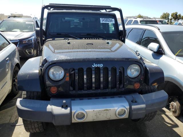 2009 Jeep Wrangler Sahara VIN: 1J8FA54169L710208 Lot: 54580264