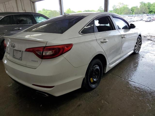 2016 Hyundai Sonata Sport VIN: 5NPE34AF3GH368564 Lot: 54444254