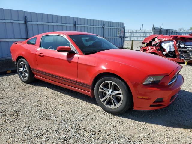 2014 Ford Mustang VIN: 1ZVBP8AM8E5292637 Lot: 54217484