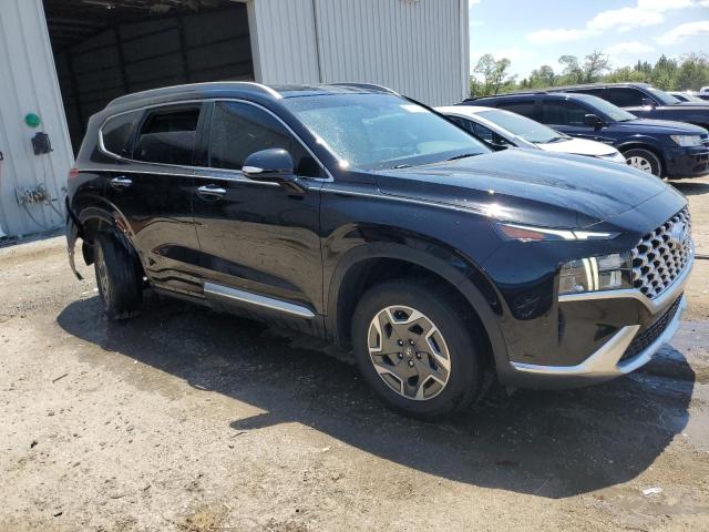 2021 Hyundai Santa Fe Blue VIN: KM8S2DA18MU008780 Lot: 57113624