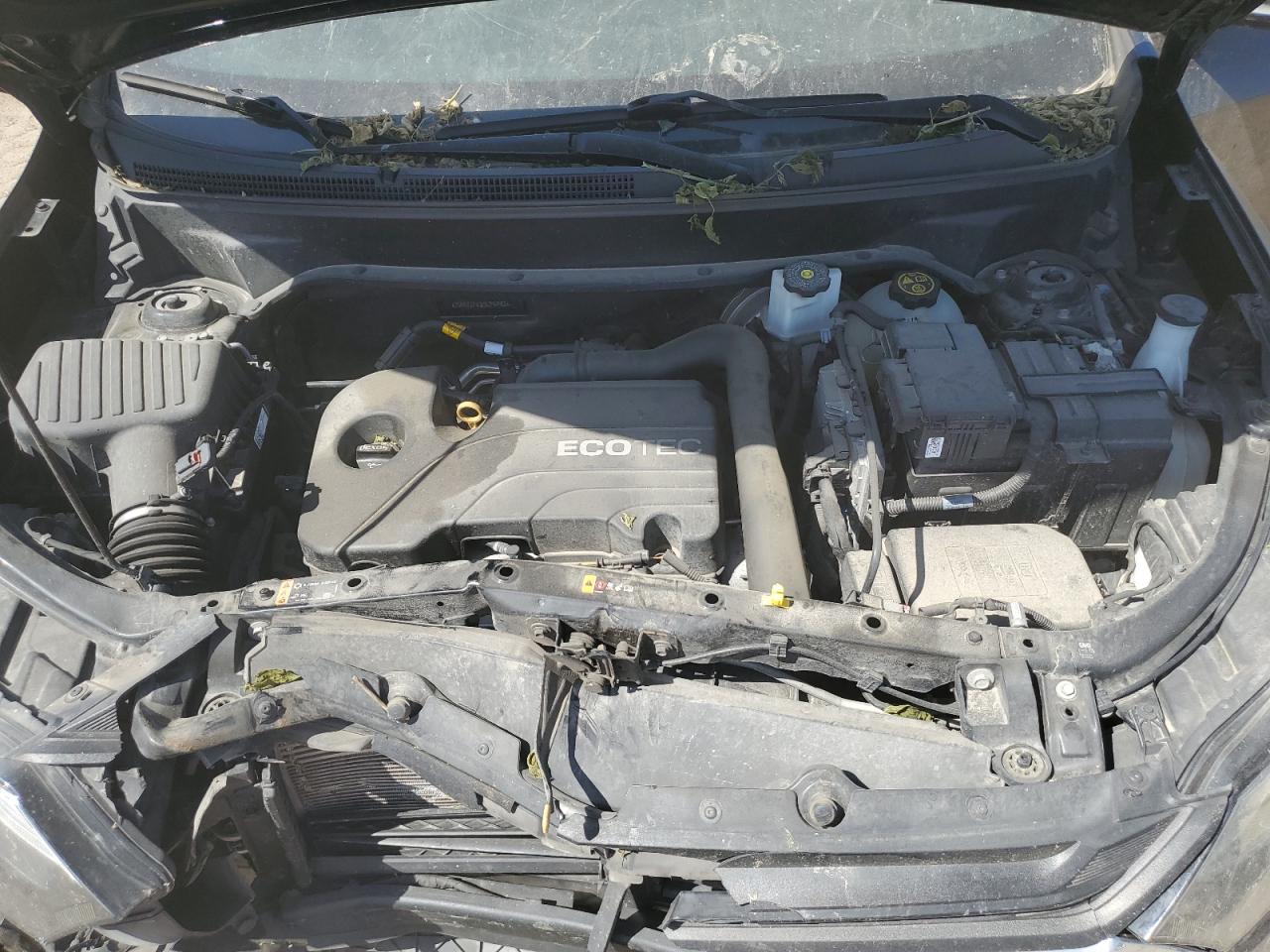 2GNAXJEV3K6296983 2019 Chevrolet Equinox Lt