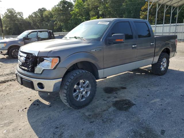 2009 Ford F150 Supercrew VIN: 1FTPW14V19FA99480 Lot: 55908504