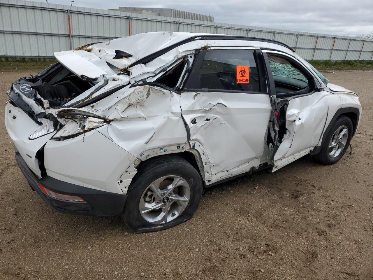 5NMJBCDE1RH316574 2024 Hyundai Tucson Sel