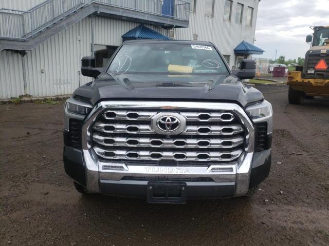 2022 Toyota Tundra Crewmax Platinum VIN: 5TFMA5DB6NX022302 Lot: 54026764