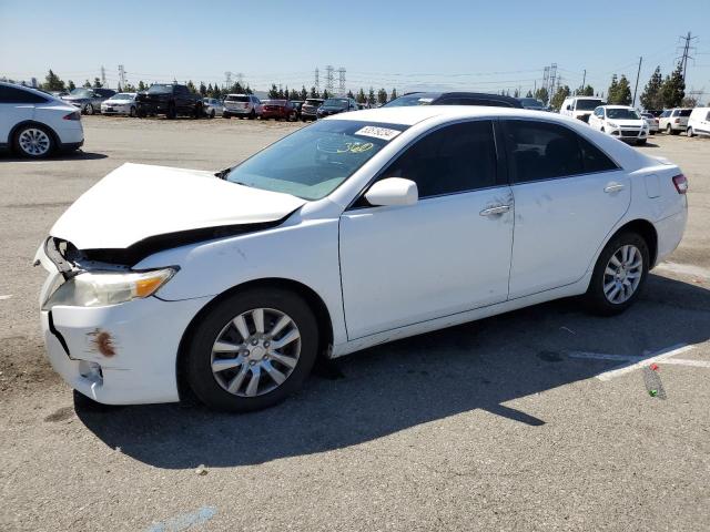 Lot #2536091950 2010 TOYOTA CAMRY BASE salvage car