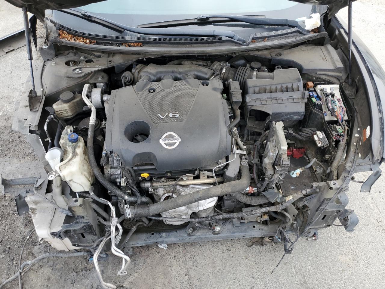 1N4AA5AP5DC807148 2013 Nissan Maxima S