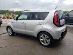 KIA SOUL + photo