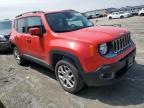 JEEP RENEGADE L photo