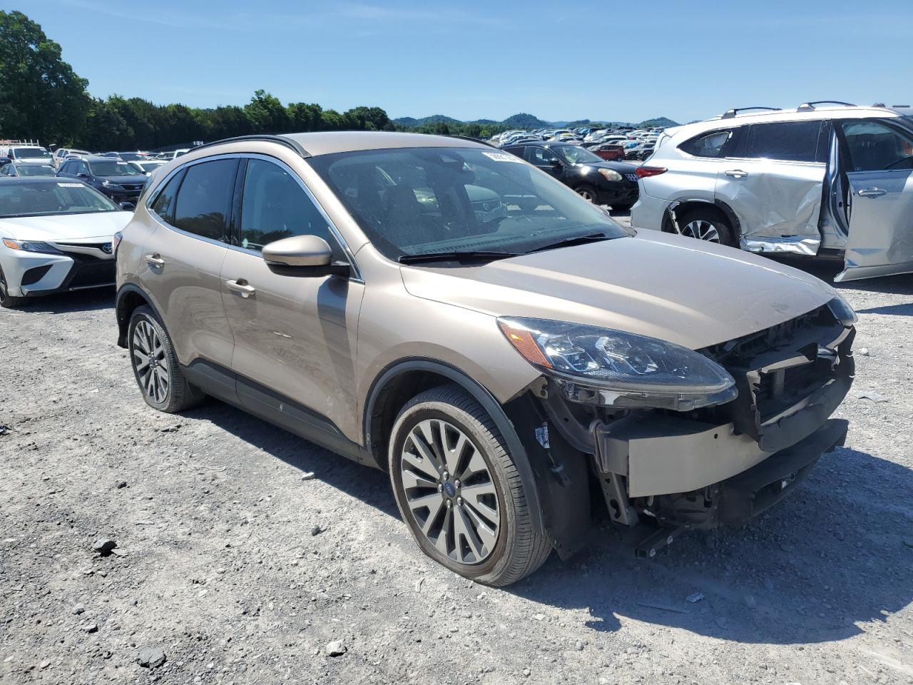 Lot #2718379422 2020 FORD ESCAPE TIT