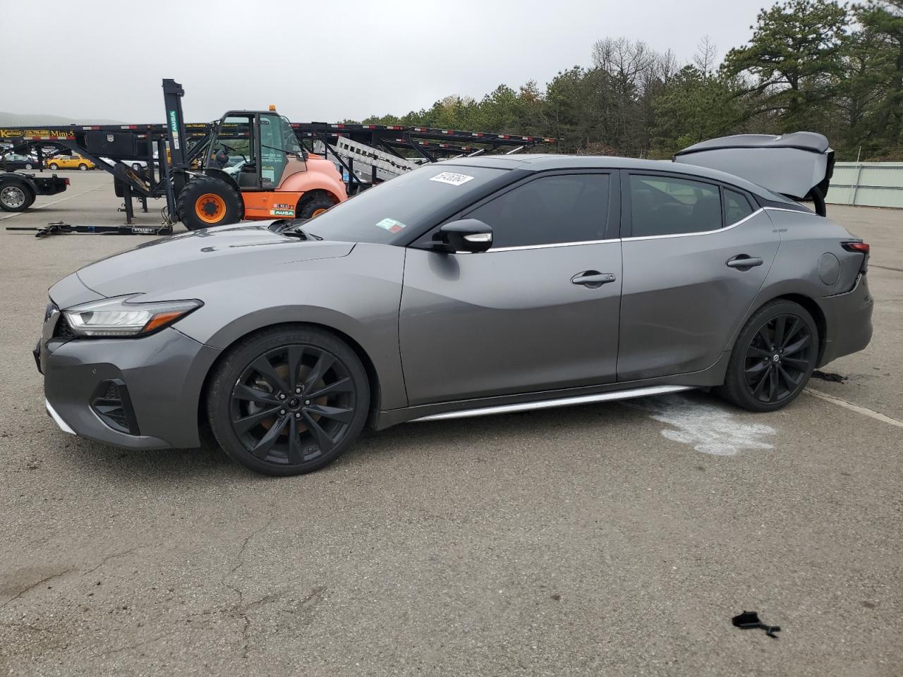 1N4AA6AV2KC362384 NISSAN MAXIMA 2019