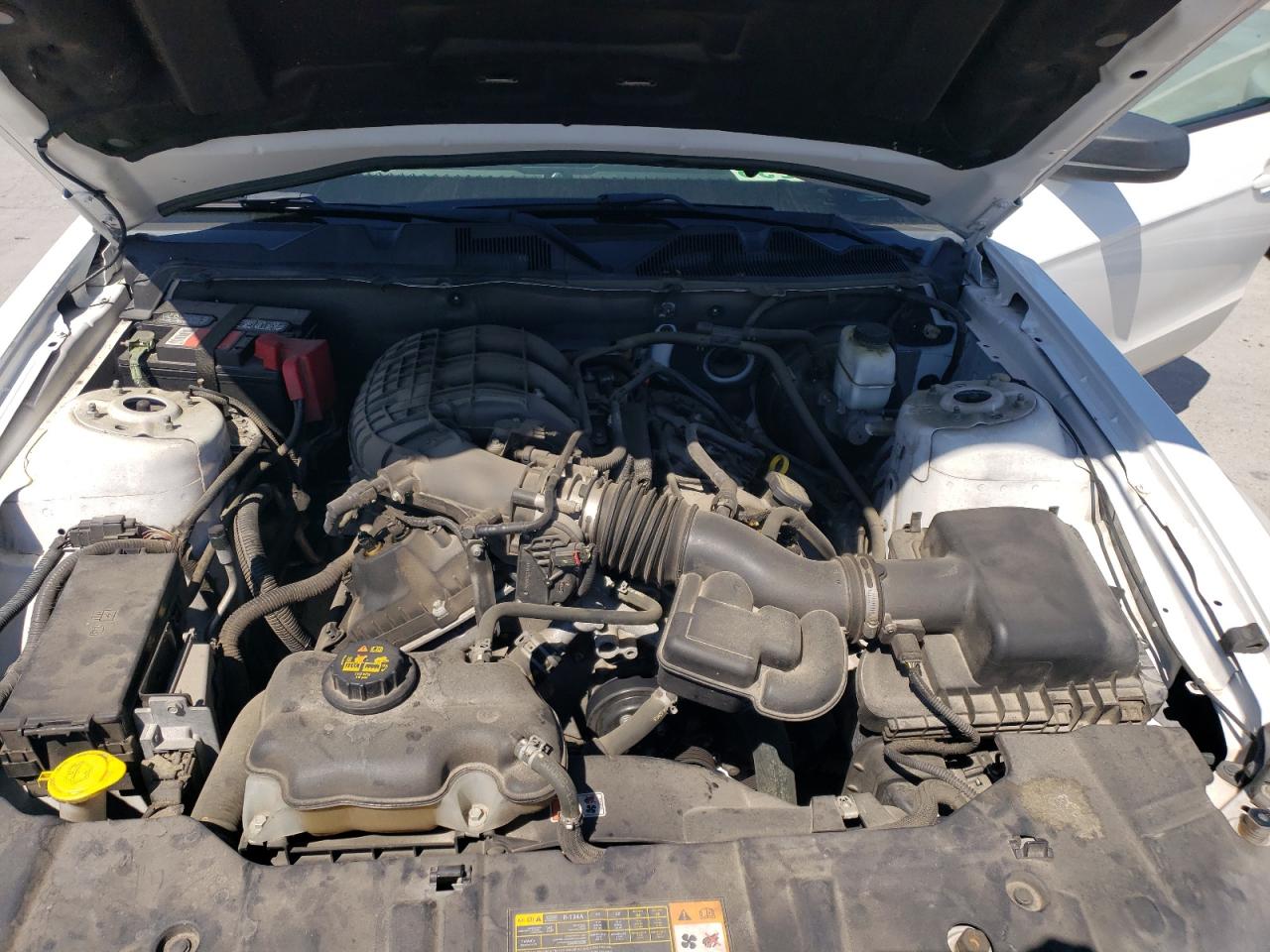 1ZVBP8AM2E5228223 2014 Ford Mustang