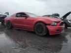 FORD MUSTANG photo