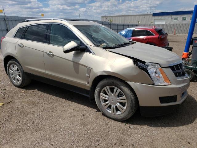 2012 Cadillac Srx Luxury Collection VIN: 3GYFNAE32CS501919 Lot: 54138524