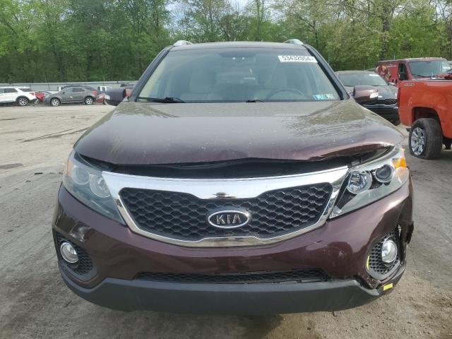 2013 Kia Sorento Lx VIN: 5XYKTDA69DG340239 Lot: 53432054