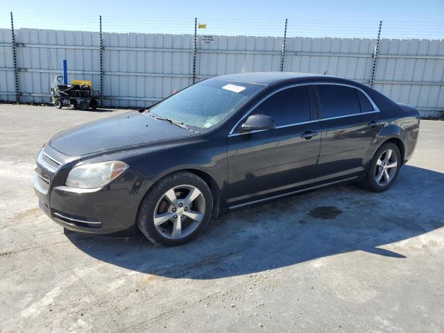 2011 Chevrolet Malibu 1Lt VIN: 1G1ZC5E1XBF257768 Lot: 54089514