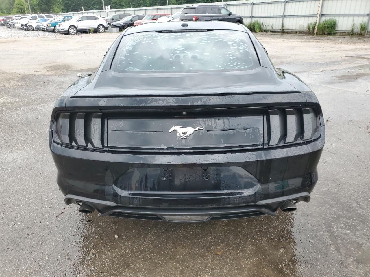 2019 Ford Mustang vin: 1FA6P8TH4K5203801