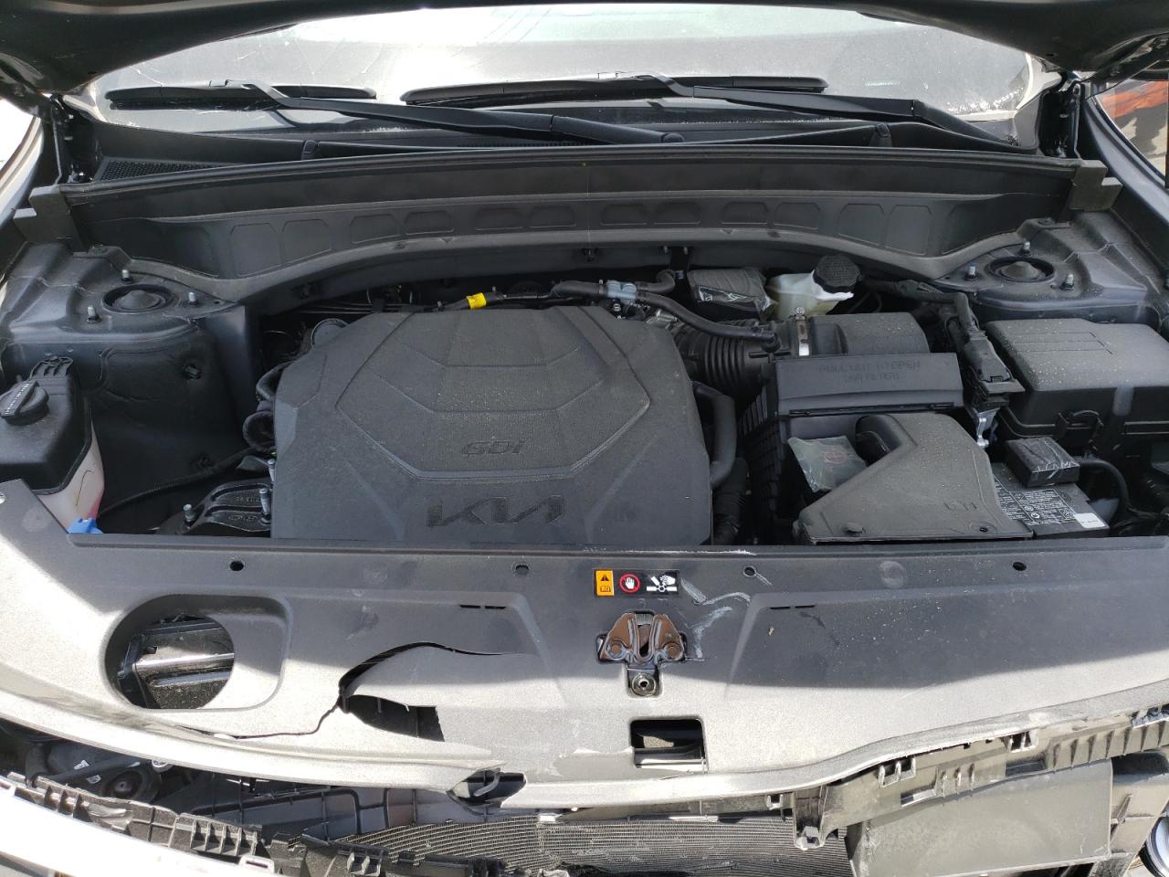 5XYP54GC6RG467079 2024 Kia Telluride Sx