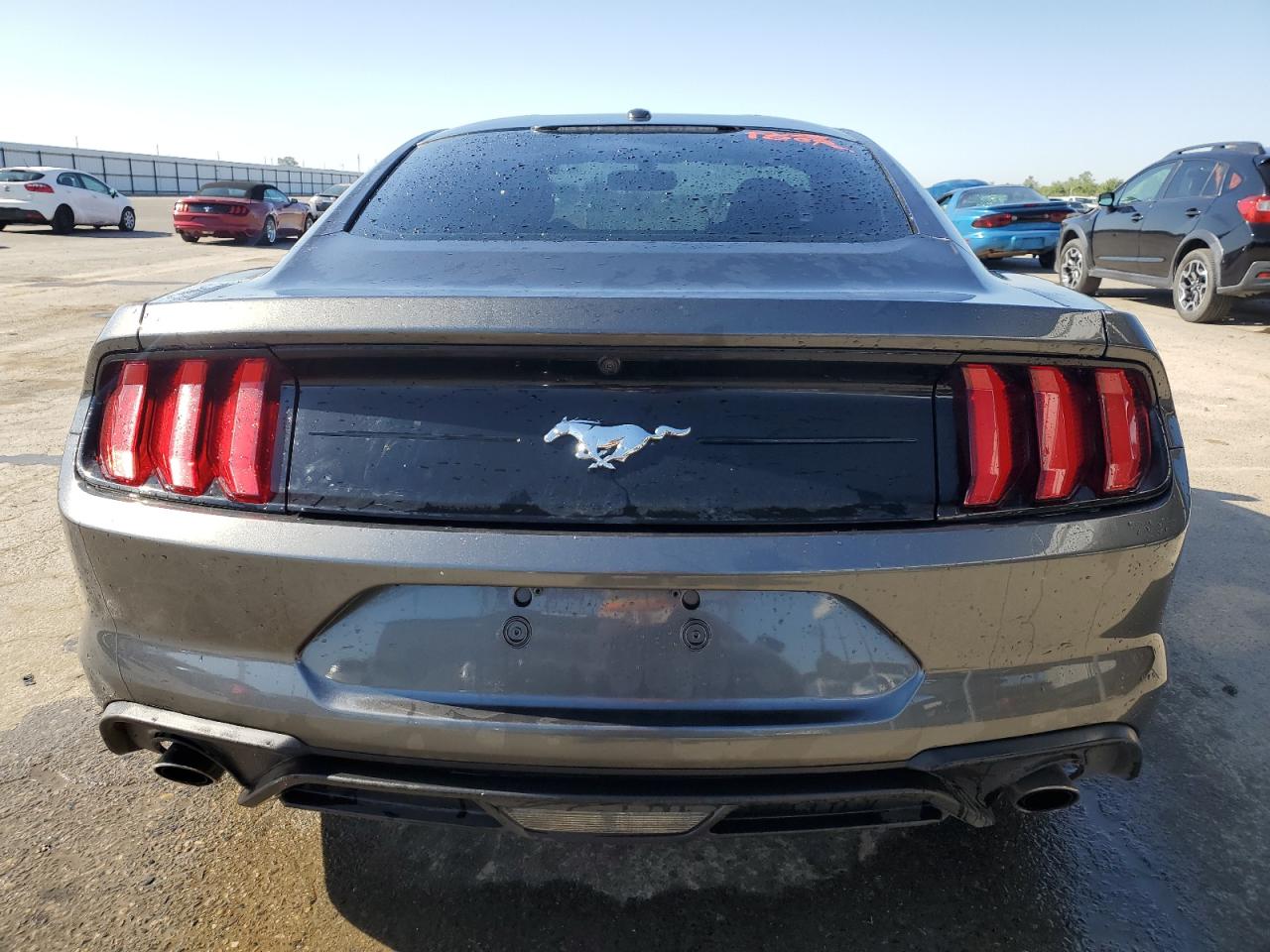 1FA6P8THXK5176829 2019 Ford Mustang